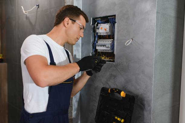 Best Electric Panel Repair  in Gunter, TX