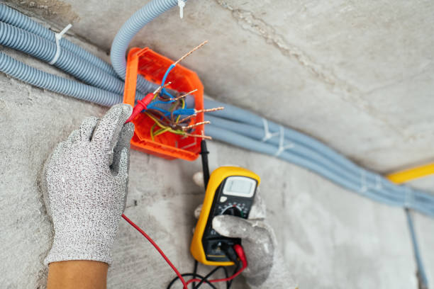 Best Electrician for Home Renovation  in Gunter, TX